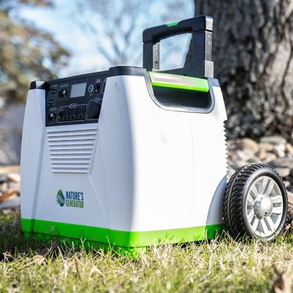 Nature's Generator - Gold System